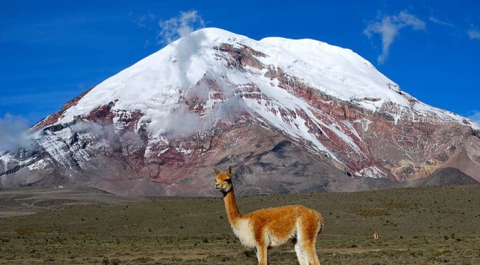 Страна Эквадор: испанские страсти и такая разная природа Страна Эквадор