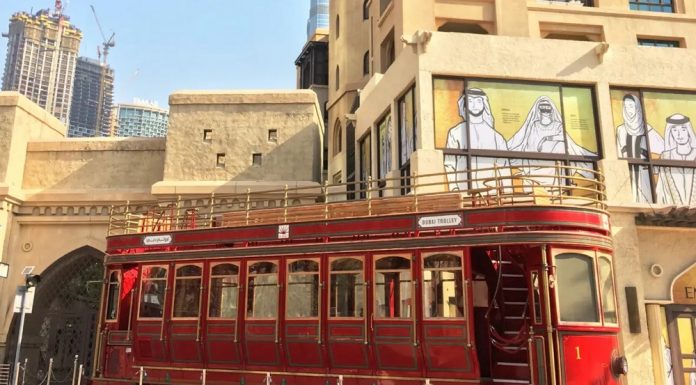 Авторские экскурсии*