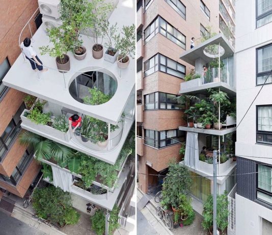 Tokyo Garden and House